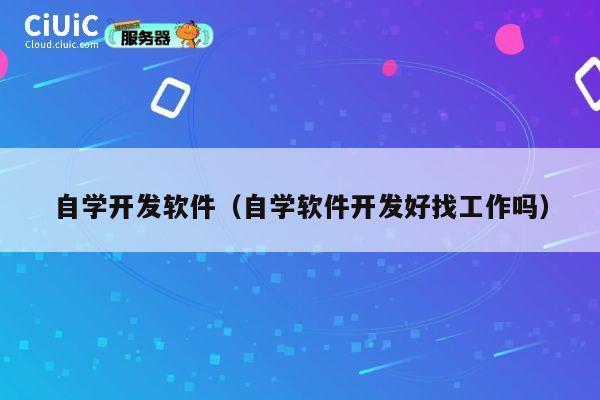 自学开发软件(自学软件开发好找工作吗) 第1张 自学开发软件(自学软件开发好找工作吗) 第1张