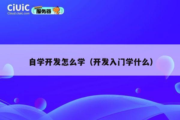 自学开发怎么学(开发入门学什么) 第1张 自学开发怎么学(开发入门学什么) 第1张