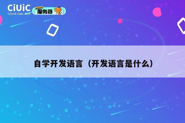自学开发语言(开发语言是什么) 第1张 自学开发语言(开发语言是什么) 第1张