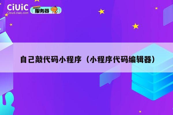 自己敲代码小程序(小程序代码编辑器) 第1张 自己敲代码小程序(小程序代码编辑器) 第1张