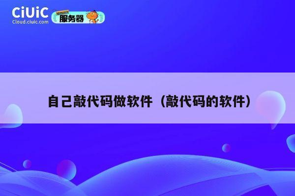 自己敲代码做软件(敲代码的软件) 第1张 自己敲代码做软件(敲代码的软件) 第1张