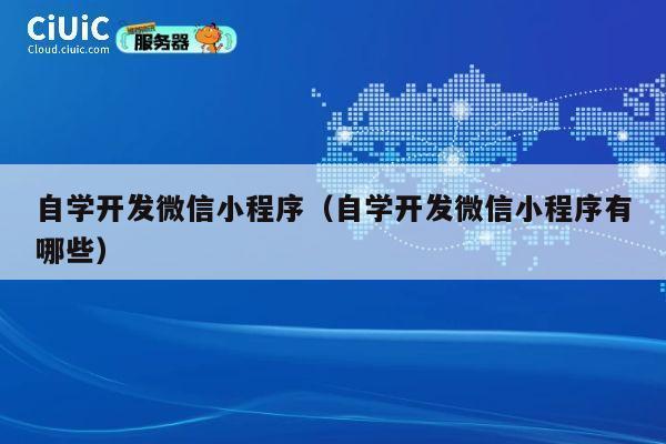 自学开发微信小程序(自学开发微信小程序有哪些) 第1张 自学开发微信小程序(自学开发微信小程序有哪些) 第1张
