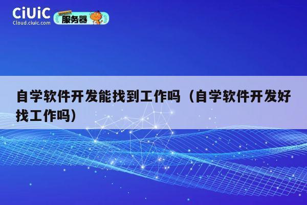 自学软件开发能找到工作吗(自学软件开发好找工作吗) 第1张 自学软件开发能找到工作吗(自学软件开发好找工作吗) 第1张