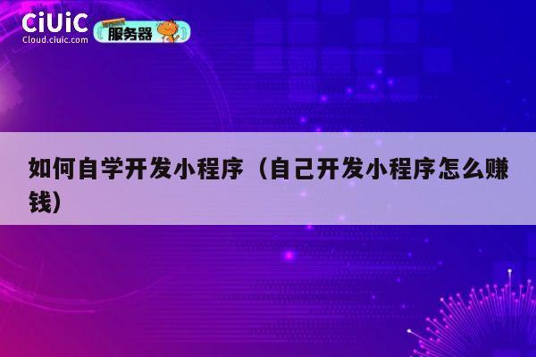 如何自学开发小程序(自己开发小程序怎么赚钱) 第1张 如何自学开发小程序(自己开发小程序怎么赚钱) 第1张