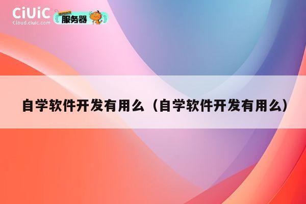自学软件开发有用么（自学软件开发有用么） 第1张