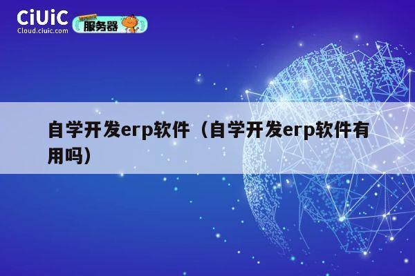 自学开发erp软件(自学开发erp软件有用吗) 第1张 自学开发erp软件(自学开发erp软件有用吗) 第1张