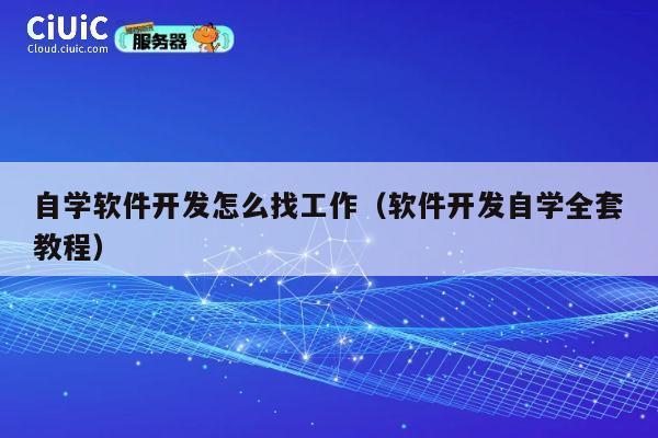 自学软件开发怎么找工作(软件开发自学全套教程) 第1张 自学软件开发怎么找工作(软件开发自学全套教程) 第1张