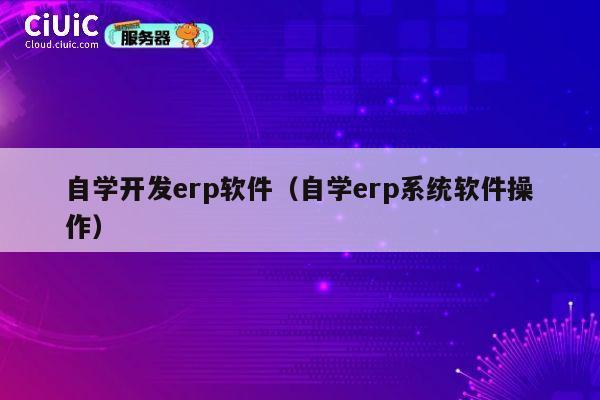 自学开发erp软件(自学erp系统软件操作) 第1张 自学开发erp软件(自学erp系统软件操作) 第1张