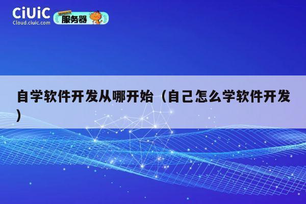 自学软件开发从哪开始(自己怎么学软件开发) 第1张 自学软件开发从哪开始(自己怎么学软件开发) 第1张
