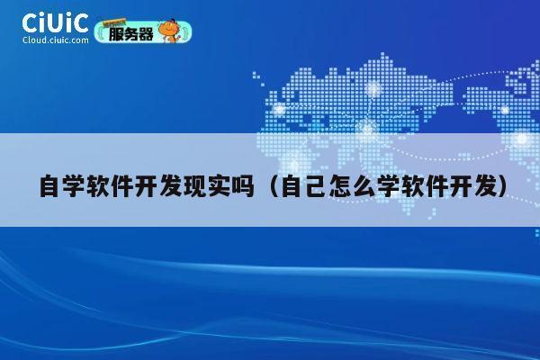自学软件开发现实吗（自己怎么学软件开发） 第1张