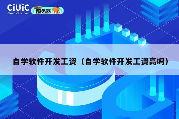 自学软件开发工资(自学软件开发工资高吗) 第1张 自学软件开发工资(自学软件开发工资高吗) 第1张
