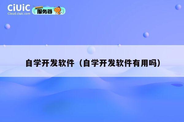 自学开发软件(自学开发软件有用吗) 第1张 自学开发软件(自学开发软件有用吗) 第1张