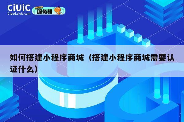 如何搭建小程序商城(搭建小程序商城需要认证什么) 第1张 如何搭建小程序商城(搭建小程序商城需要认证什么) 第1张