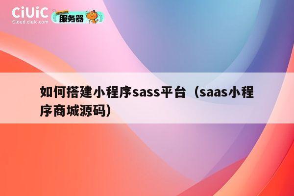 如何搭建小程序sass平台(saas小程序商城源码) 第1张 如何搭建小程序sass平台(saas小程序商城源码) 第1张