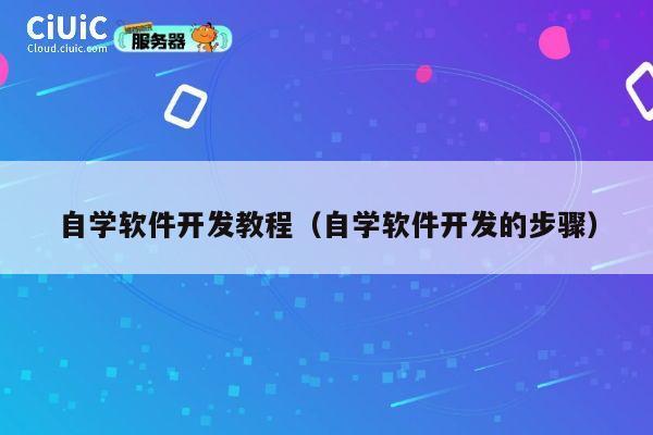 自学软件开发教程(自学软件开发的步骤) 第1张 自学软件开发教程(自学软件开发的步骤) 第1张